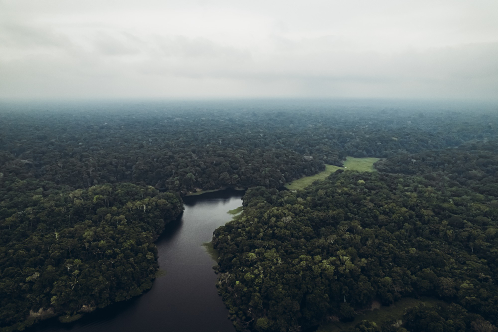 Aerial view of the Peruvian Amazon rainforest near Iquitos, dense jungle canopy with a winding river under cloudy skies.