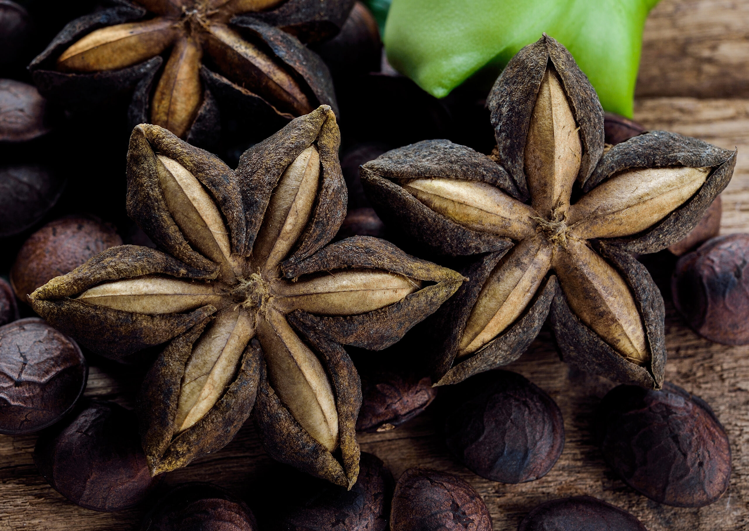 Close-up of Sacha Inchi, also known as the Inca peanut or mountain peanut