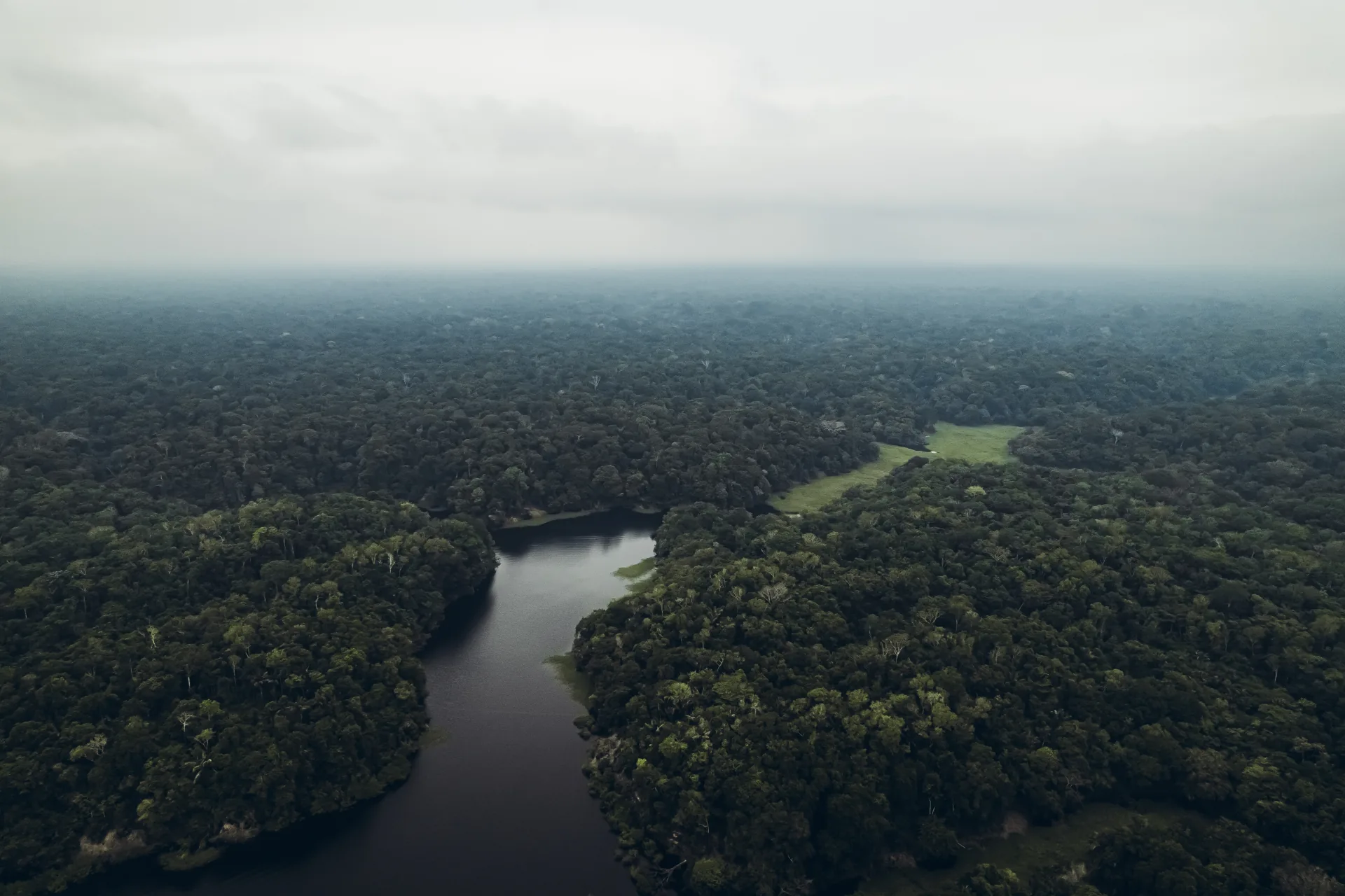 Amazon rainforest, Peru — best time to visit