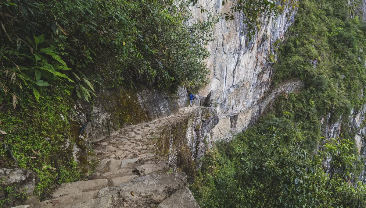 Quiet moment on the Inca Trail near Machu Picchu
